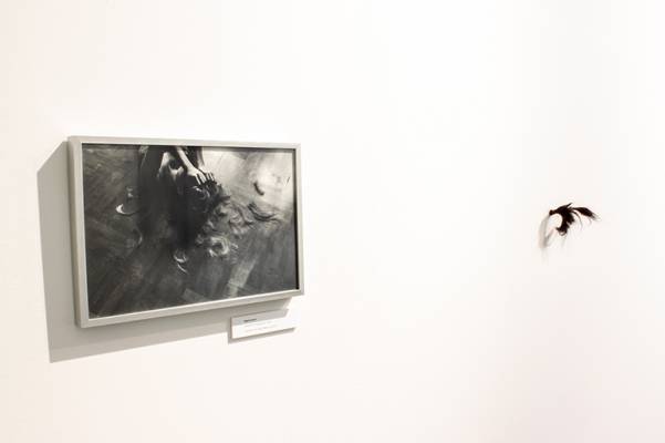 O WLOS exhibition, photo: Urszula Kluz-Knopek