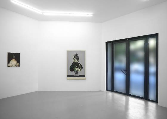 'Pearl, Eye, Worm', exhibition view, Galerie Rolando Anselmi, Rome